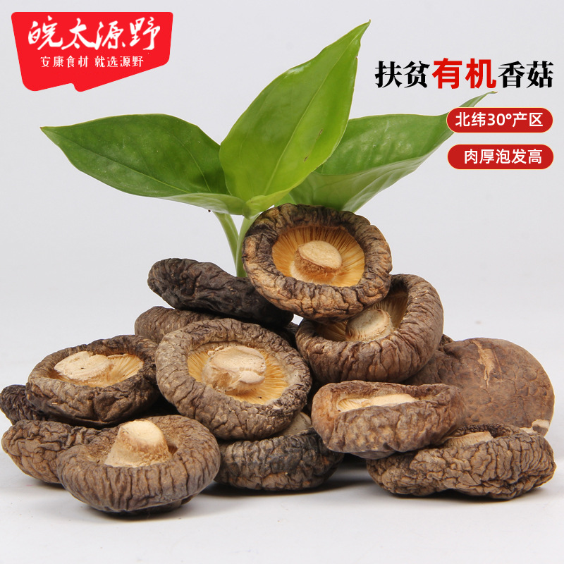 Оптовые сушеные грибы шиитаке, органические сушеные грибы шиитаке, мясистые грибы, специальность с гор Дабие, помощь бедным, прямая доставка из места происхождения