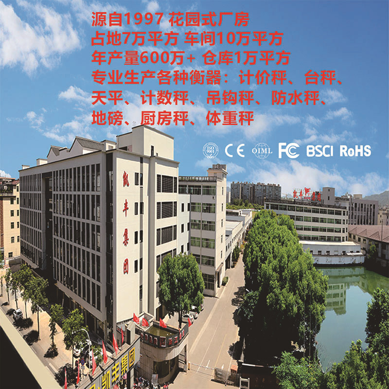 Electronic Platform Scale, All Stainless Steel, Waterproof, 150kg, Kai Feng Large Scale, Commercial Waterproof Digital Display