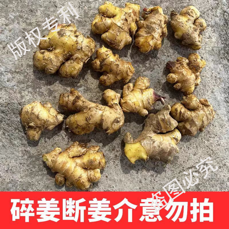 Authentic Yunnan Ginger 500g Wholesale Fresh Spicy Ginger Small Ginger Root Ginger Dried Ginger Farm Chopped Ginger