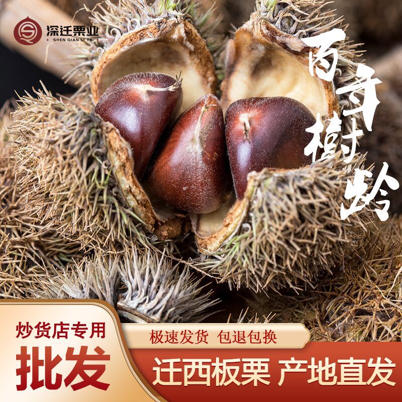 Аутентичные каштаны Qianxi, 50кг, свежие сырые каштаны, конфетные жареные каштаны