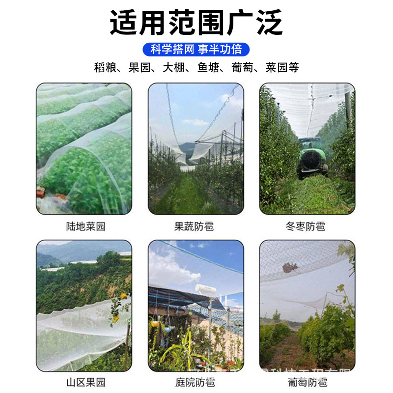 Anti-Hail Net Orchard Anti-Bird Net Grape Net Agricultural Protection Fruit Tree Brand New White Polyethylene Anti-Hail Net Artifact