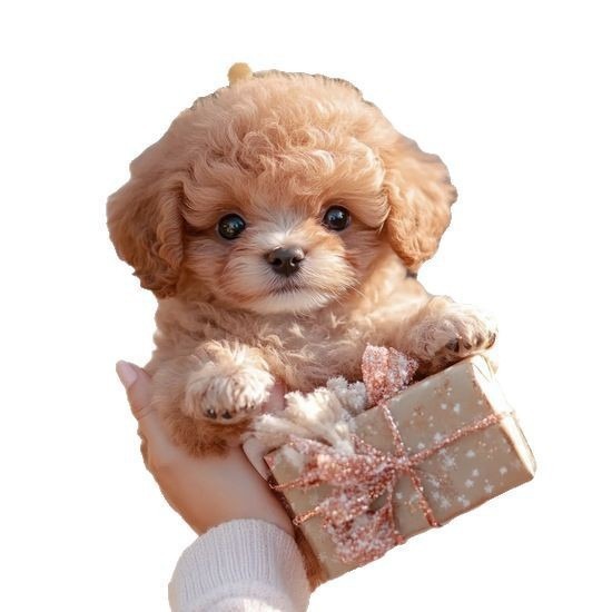 Cross-Border Toy Dog ​​Walks and Barks Electric Plush Puppy Doll Birthday Gift Stall Pet Dog