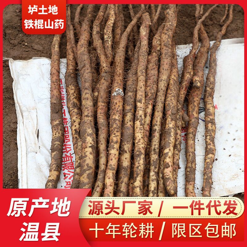 Ям, Хэнань Цзяозуо, ям из почвы, свежий ям, оптовая продажа, 1 штука 0,5 кг, полный ящик 2,5 кг, не Хуа ям