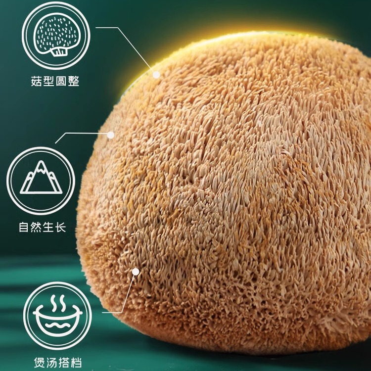 Official Flagship Store of Northeast Changbai Mountain Hericium Dry Goods 500g Can Be Powdered to Nourish the Stomach, Special Wild Fresh Tea Tablets