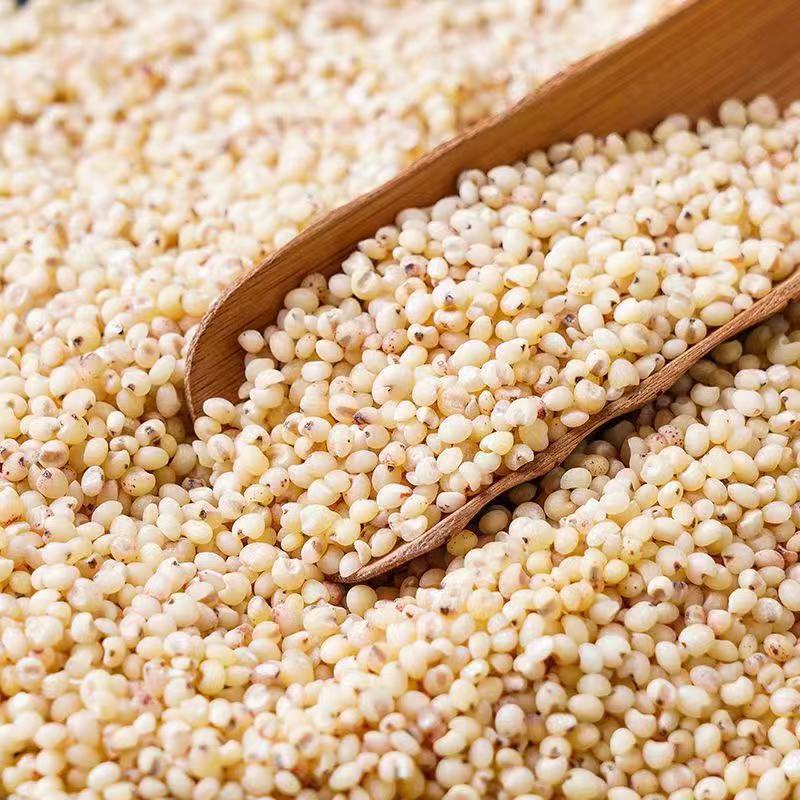 Сезонные новинки: северо-восточный фермерский сорговый рис, белый сорговый рис, зерна сорго, очищенные зёрна, цельные зёрна и крупные зёрна для дропшиппинга