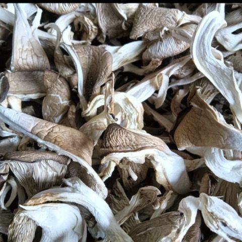 Organic Dried Oyster Mushrooms Whole Box Dried Goods Real Oyster Mushrooms Farm-Raised Oyster Mushrooms Sun-Dried Dried Goods Vegetable Soup Edible Fungi