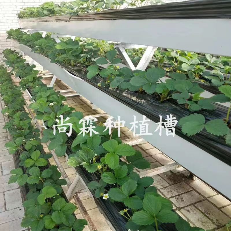 Pvc Elevated Strawberry Cultivation Trough Strawberry Soilless Cultivation Equipment Greenhouse Stereo Planting Rack Strawberry Planting Trough