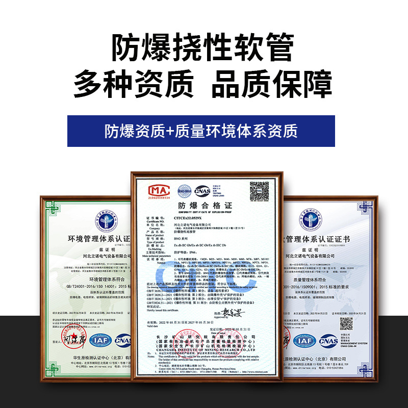 Customized Bng Explosion-Proof Flexible Connecting Pipe Dn20 Winding and Threading Steel Wire Winding Wiring Pipe Explosion-Proof Flexible Hose