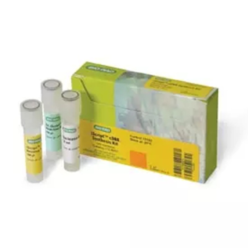 1708891 Boehringer Iscript Набор Синтеза cDNA 100X20µL Лабораторные Реагенты