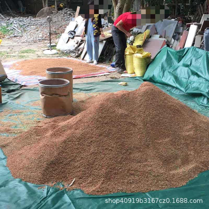 Large Quantities of Factory-Made Rat Poison in Bulk Packages, Rat Bait, Rat Poison for Rice, Cockroach Insecticide