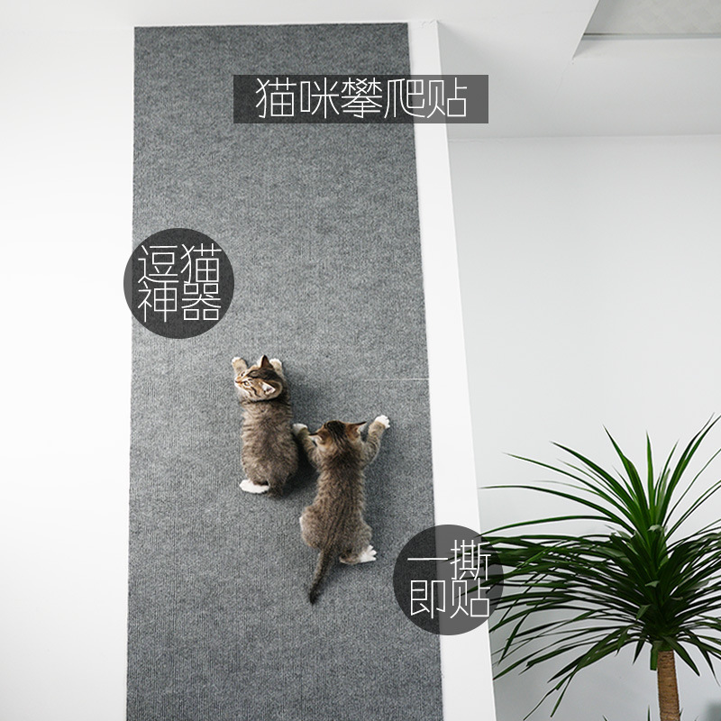 Dropshipping Random Cat Teasing Tool, Wear-Resistant Cat Climbing Mat Holder, Non-Shedding Multifunctional Wall Sticker for Climbing Cat Paws