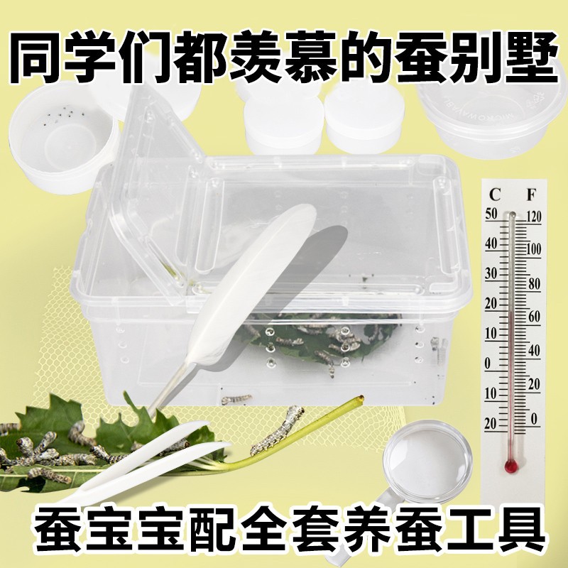 Набор специальных инструментов для вывода шелкопряда, инкубационный ящик, термометр, коробка для кормления, сетка для шелкопряда, оптовая продажа