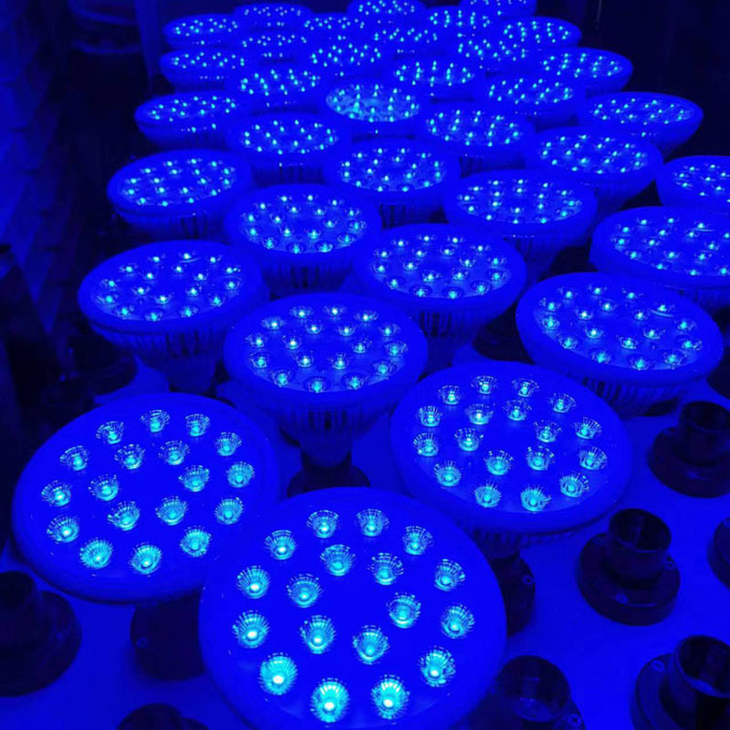 Amazon's Best-Selling Led Blue Light Spotlight Par38 Bulb Household 460Nm Constant Current Wide Voltage Composite Blue Light