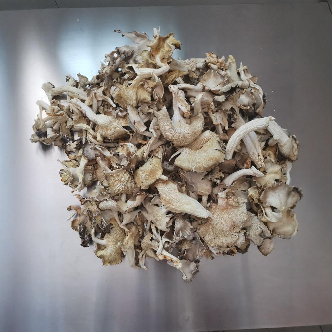 Прямые поставки сушеных вешенок, оптовая продажа, ингредиенты для супа