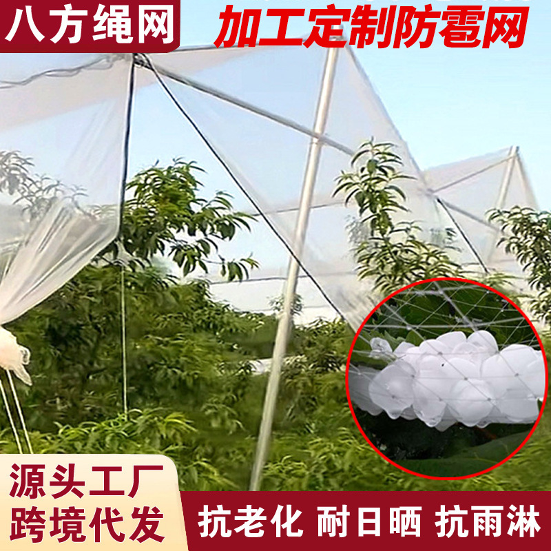 Обработка и индивидуализация противоградовой сетки, сетка от птиц для яблонь, новая антиоксидантная сетка для сельского хозяйства