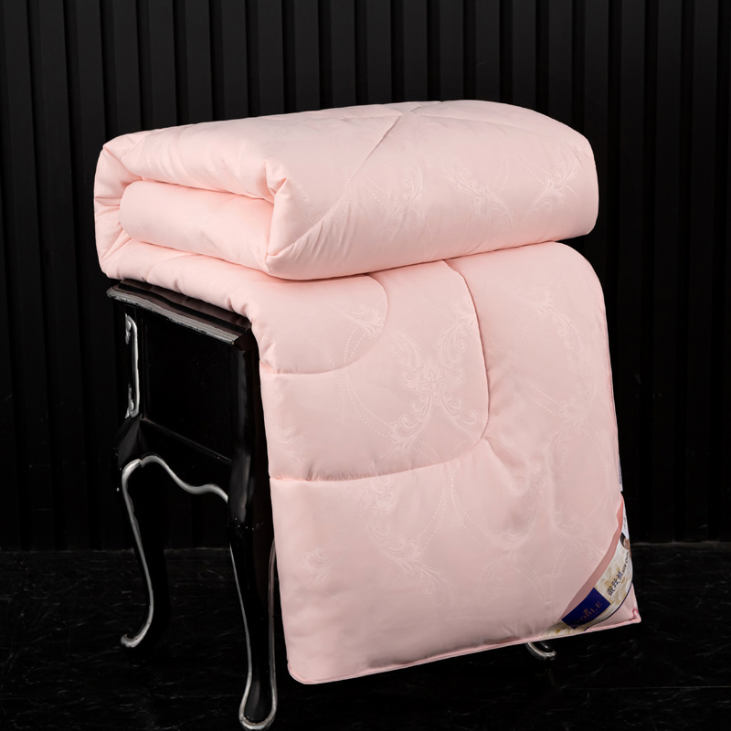 Brushed Embossed Silk Quilt, Thickened Winter Quilt, Spring and Autumn Quilt Core, Dormitory All-Season Quilt, Gift Summer Cooling Quilt, One-Piece Wholesale