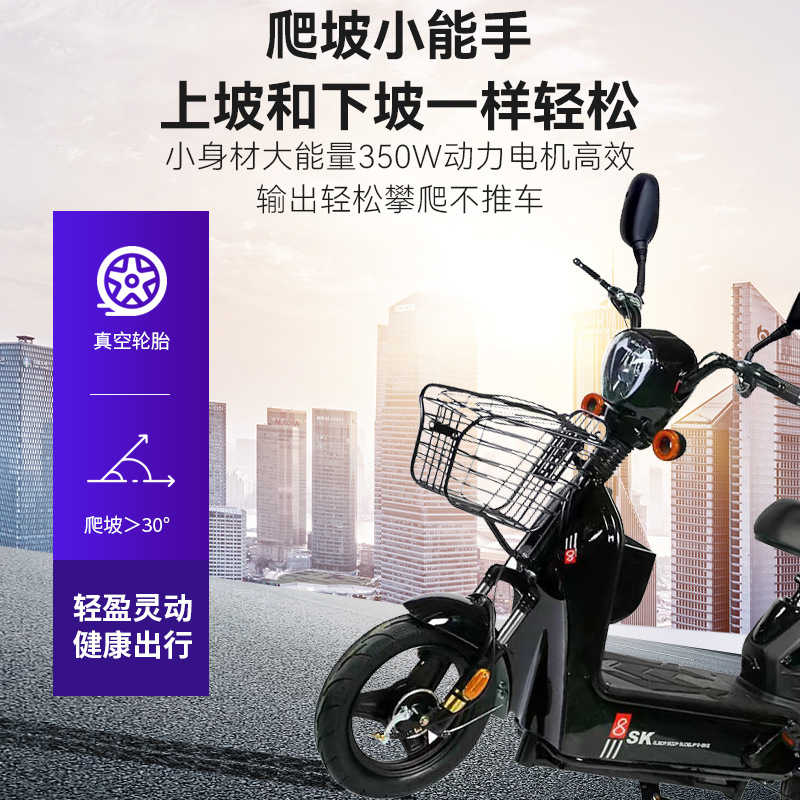 Cross-Border Golden Eagle Electric Vehicle Foreign Trade High-Power Battery Vehicle Long-Range Adult Two-Wheeled Electric Vehicle Electric Bicycle Available for Export