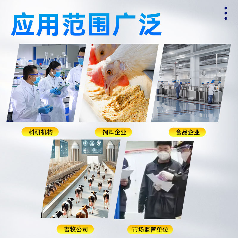 Enzyme Immunoassay Instrument Fully Automatic Full-Wavelength Enzyme-Linked Immunosorbent Detector Enzyme Immunoassay Plate Multi-Function Enzyme Immunoassay Analyzer