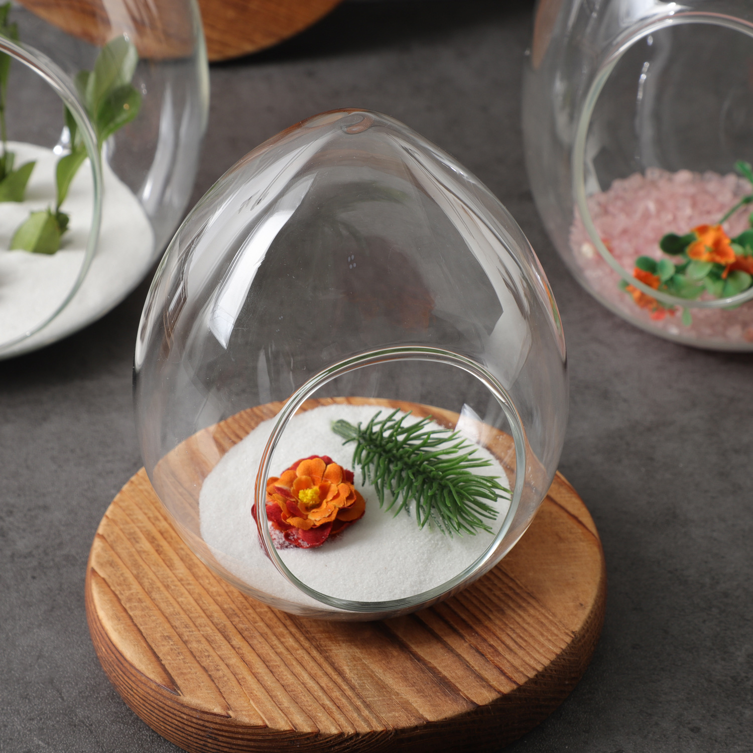 Creative Egg-Shaped Micro-Landscape Transparent Glass Vase Green Plant Succulent Hydroponic Ecological Moss DIY Landscaping Bottle Wholesale