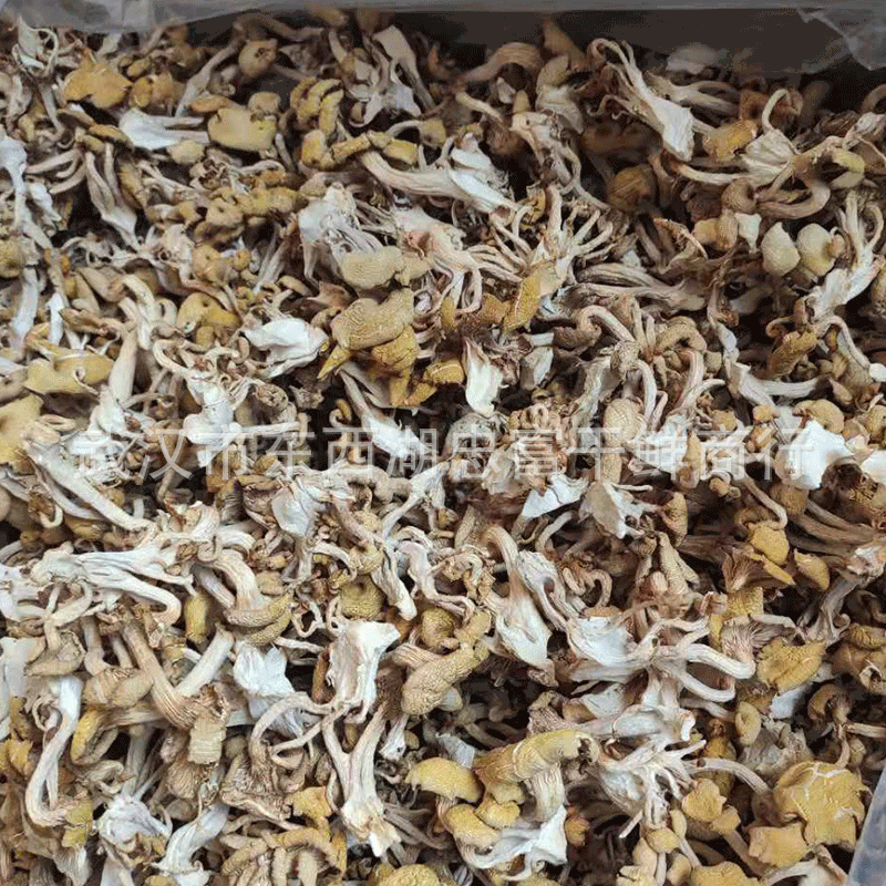 New goods chicken oil fungus dry goods soup fungus chicken oil mushroom soup bag edible mushroom bulk wholesale