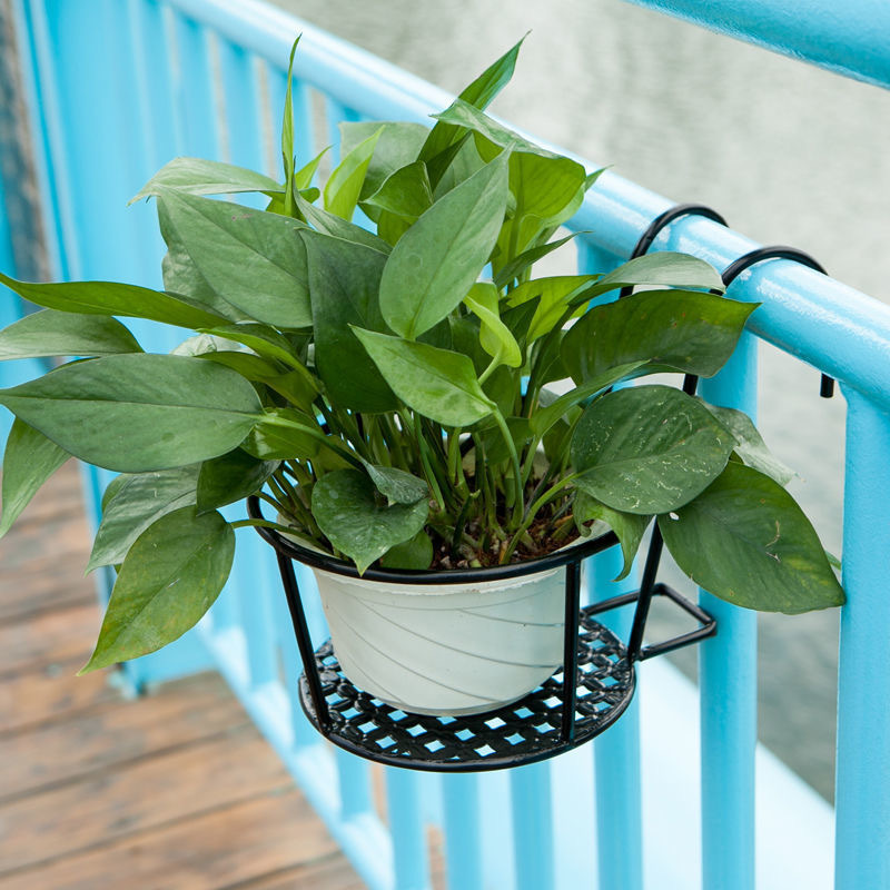 Balcony iron flower rack fence hanging flower pot rack railing hanging hanging hanging orchid green radish window sill bonsai rack