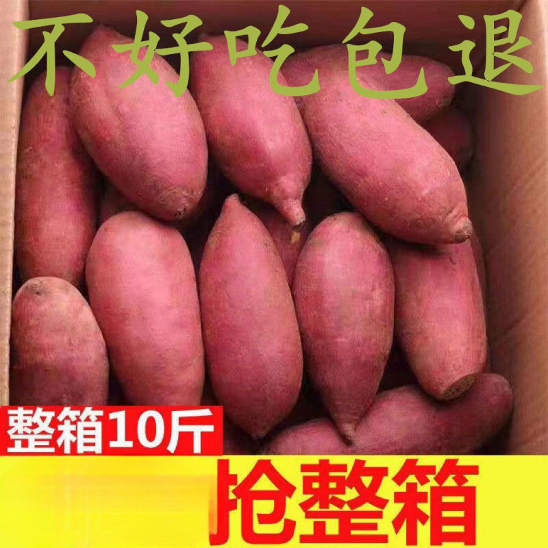 Super Sweet Sweet Potato from the Academy of Agricultural Sciences Wholesale, Sugar Heart Origin, Oily Sweet Potato, Fresh Sweet Potato, Direct Delivery, Sandy Soil Honey Sweet Potato