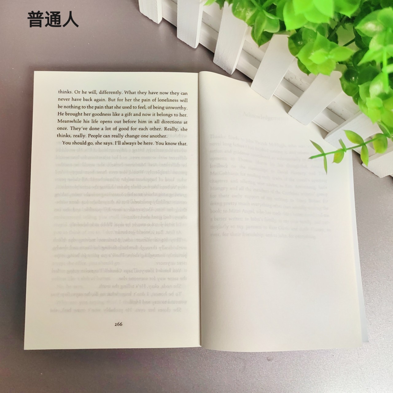 Ordinary People Normal People English Novel Sally Rooney