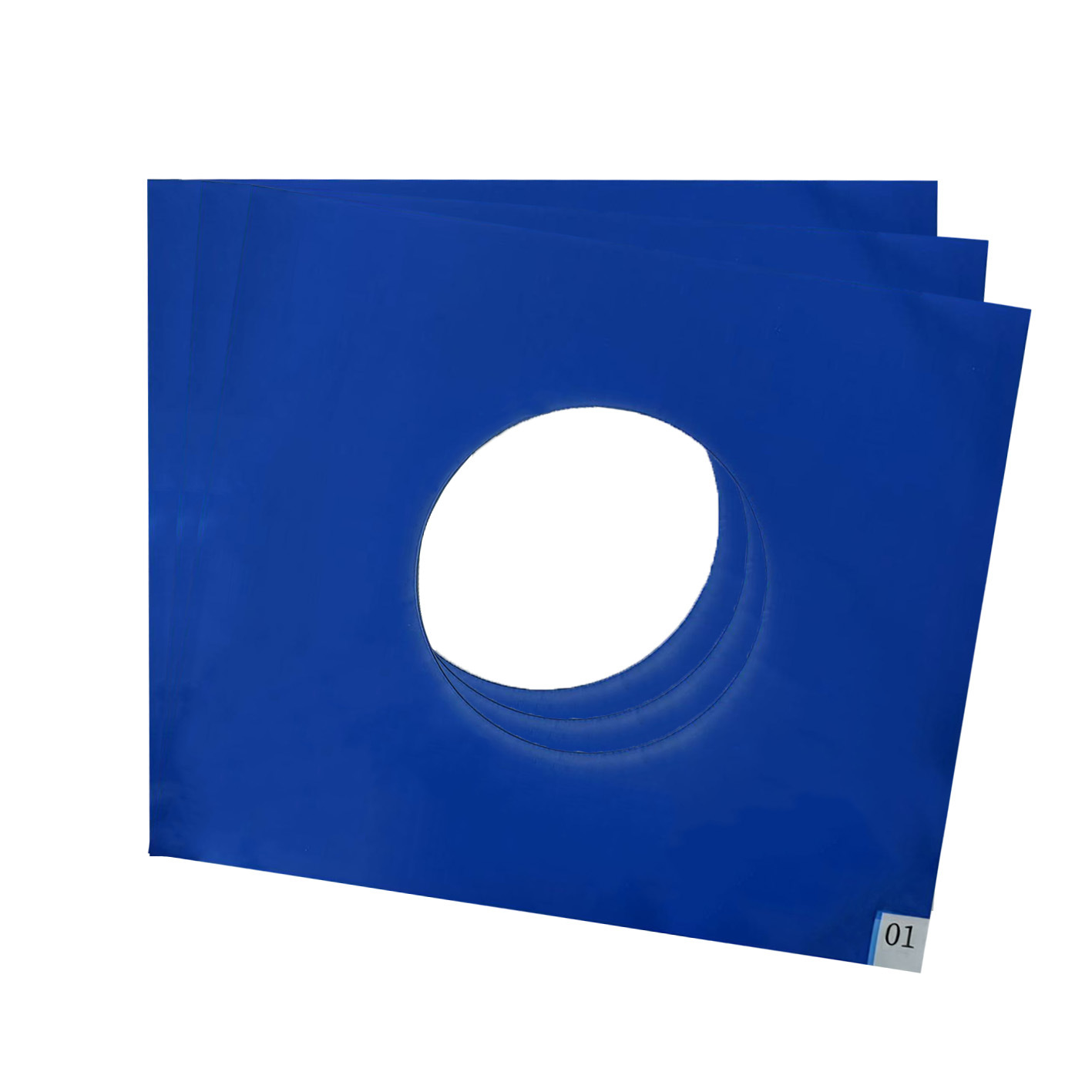 Dust Pad Pe Blue Anti-Static Floor Mat for Air Shower Room 33*38