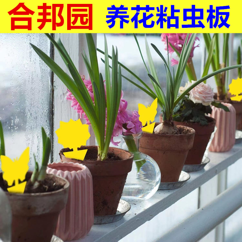 Cross-border foreign trade double-sided shaped sticky insect board in stock new insect trap pattern trap board yellow sticky board