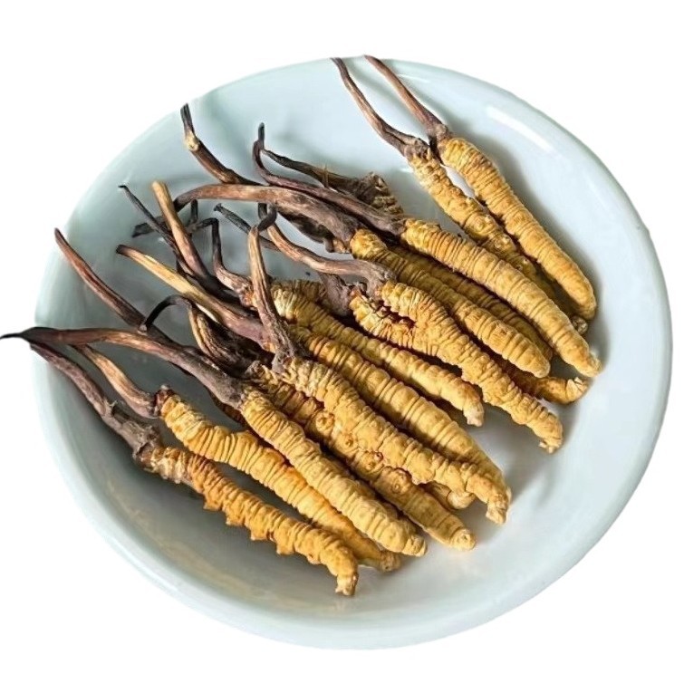 Xizang Nagqu Cordyceps Sinensis Dry Goods Cordyceps Gift Box Freeze-Dried Selected Dry Foot Gift High Nutrition