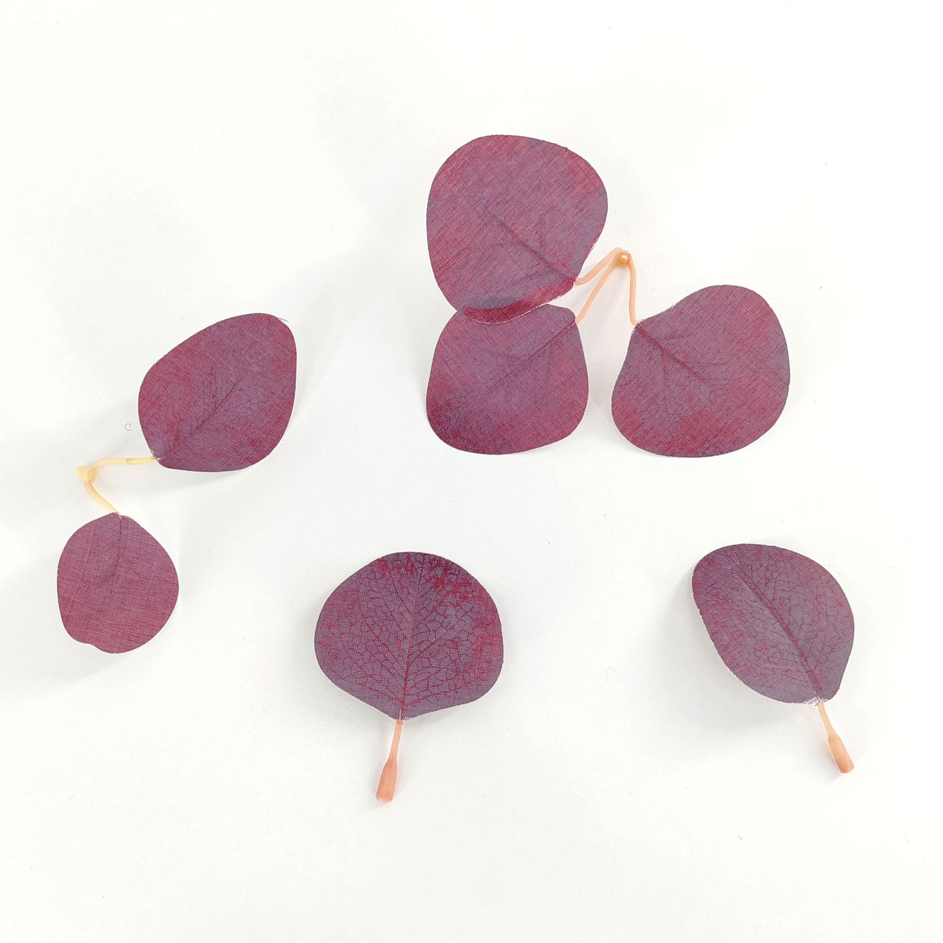 Factory Direct Sales Simulated Money Leaves Rose Leaves Eucalyptus Cross-Border Supply Wedding Flower Arrangement Accessories Single Leaf