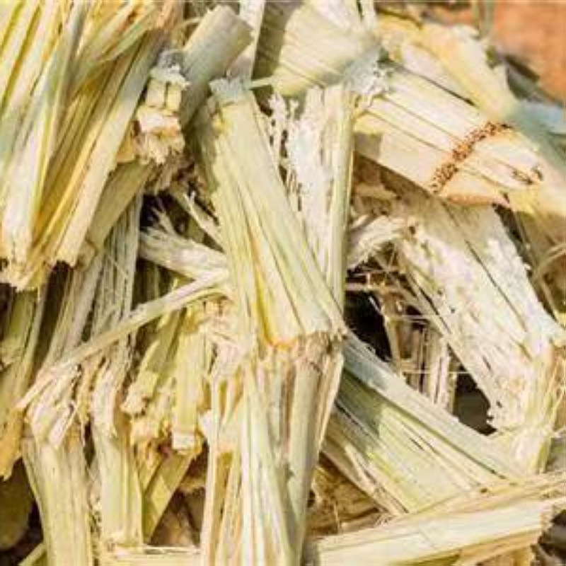 Pulp bleaching sugarcane pulp pulp board bagasse pulp household paper catering paper raw materials starting from 2kg