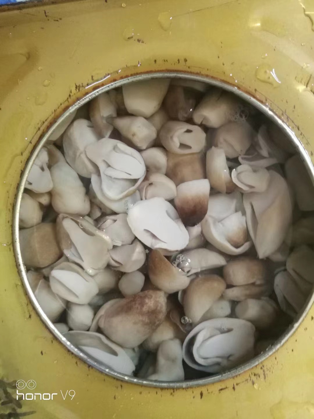 Guxi boiled straw mushroom tablets 1kg straw mushroom boiled grass mushroom canned pickled straw mushroom canned factory direct supply