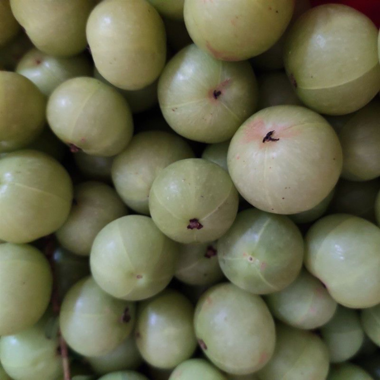 Sweet Oil Glycerin Exhibition Stall Chaoshan Specialty Sweet Oil Glycerin Glycerin Guangdong Province Free Shipping Glycerin Fruit