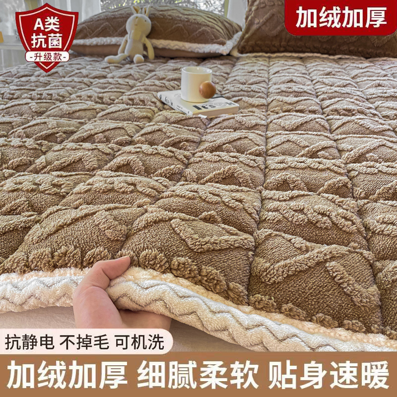 Class a Milk Velvet Mattress Thickeneded Student Dormitory Mattress Cushion Winter Single Thin Cushion Soft Cushion Coral Velvet Cushion Quilt 3