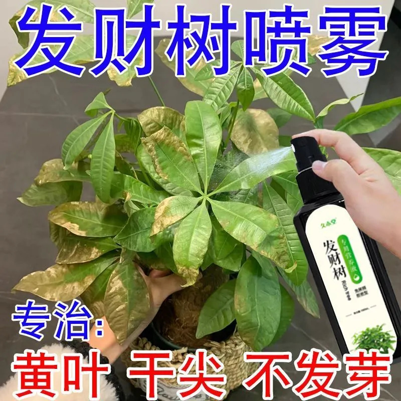 Special Fertilizer for Facai Tree Special Nutrient Solution Fertilizer Dilution Green Plant Indoor Potted Plant Household Universal Liquid