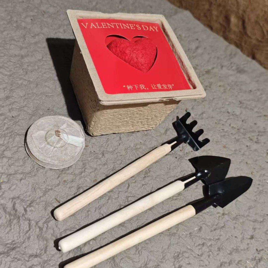 Customized 3D Heart-Shaped Seed Card, Plantable Seed Paper, Romantic Greeting Card, Event Holiday Eco-Friendly Card Gift