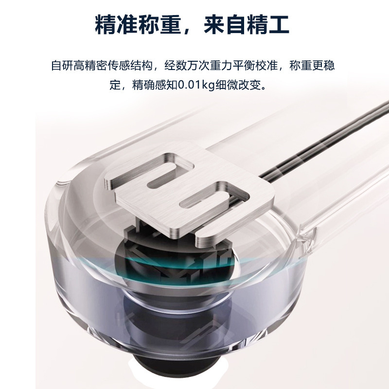 New Smart Bluetooth Body Fat Scale, Home-Use Weight Scale, Accurate Electronic Scale, Human Body Weighing Scale, Small Rechargeable Model