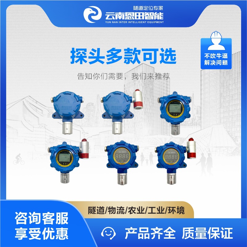 Explosion-Proof Point-Type Temperature and Humidity Detector Industrial Environment Temperature and Humidity Tunnel Water Conservancy and Hydropower Bus Alarm Probe