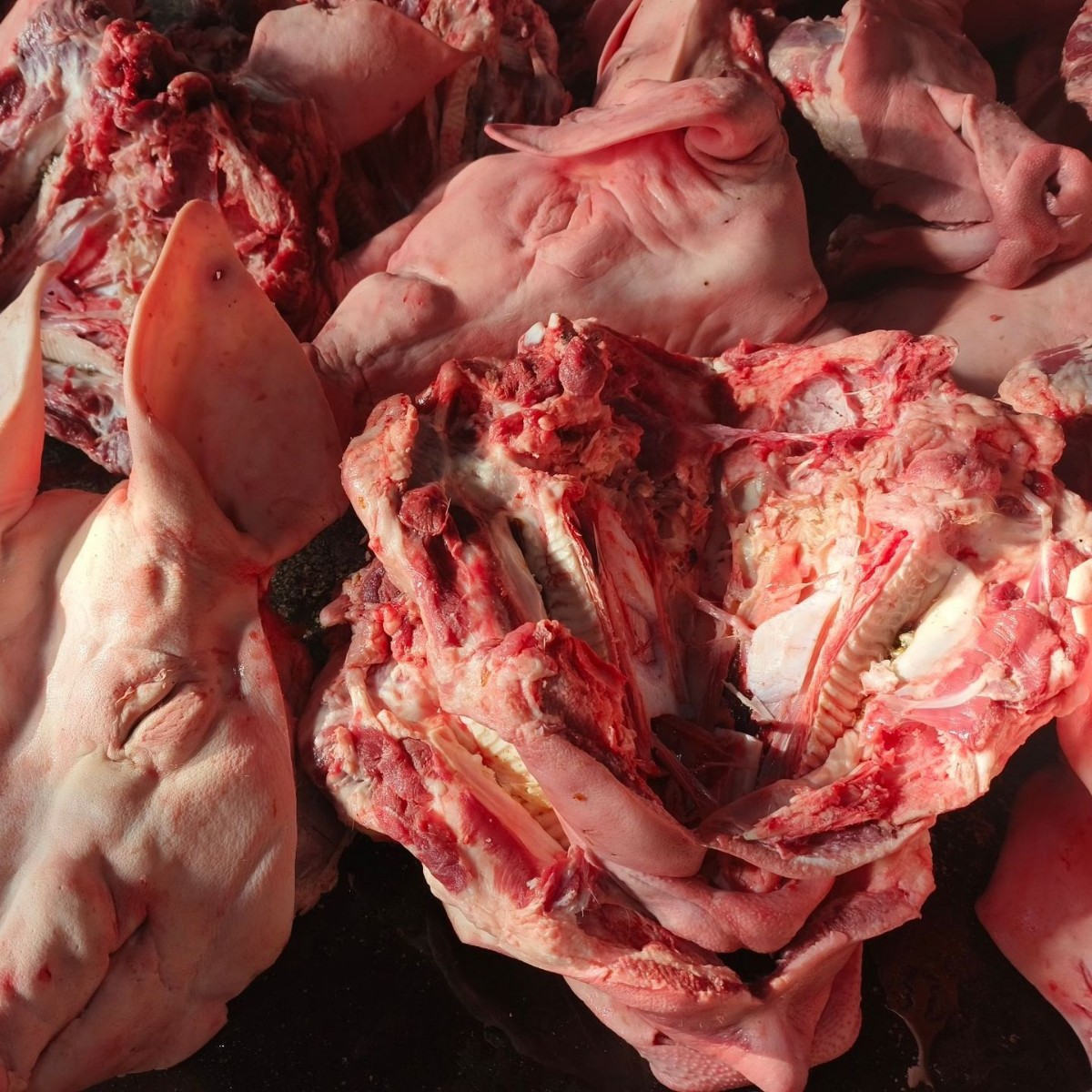 Fresh Pig Face New Year Dish, Pig Head Paste, Cured Goods, Frozen Pig Head, Shaoxing Whole Pig Head with Ears Removed, Wholesale