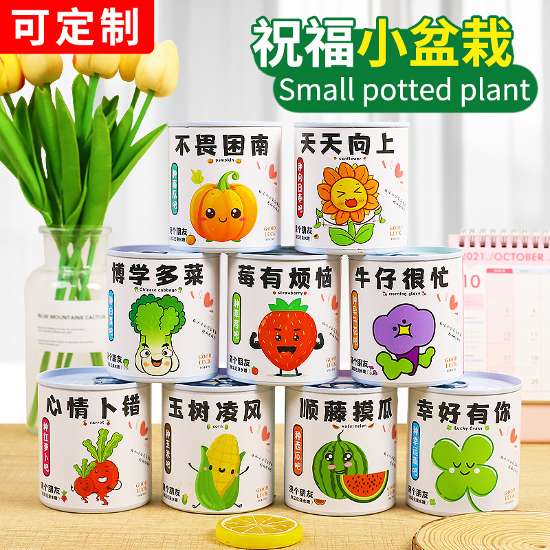 Children's DIY Planting of Small Potted Plants, Indoor Desktop Green Plant Flower Cans, Potted Plants, Office Cans, Potted Plants Wholesale
