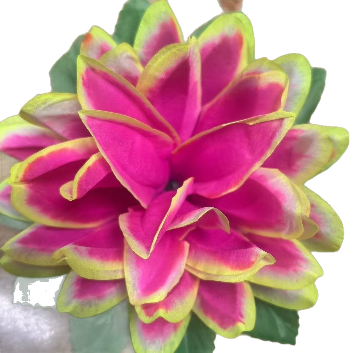 New Artificial Flower 20cm Lotus Lantern Non-Woven Silk Flower with Leaves Lotus Manufacturer in Stock
