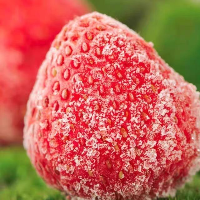 Jingdefu Chilled Strawberries Quick-Frozen Strawberries Ready-To-Eat 150g Commercial Baking Cakes Whole Box Wholesale Free Shipping