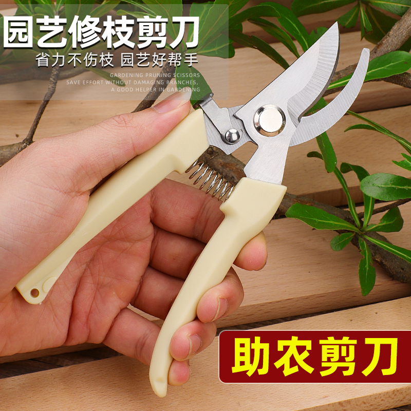 gardening shears pruning shears flower shears garden shears flower shears branches fruit tree scissors branch shears pruning flower shears