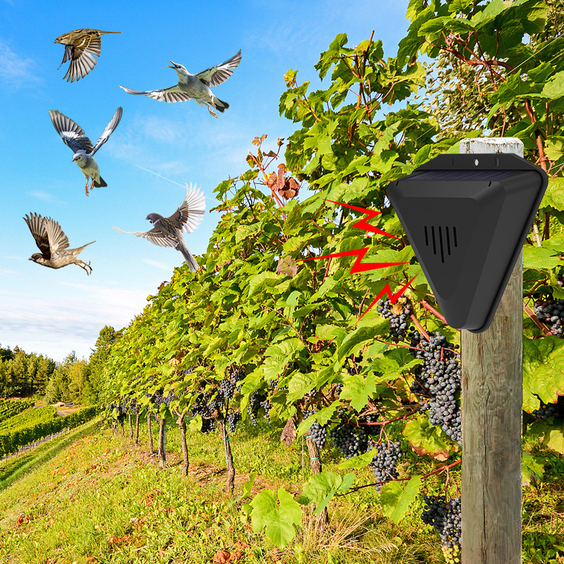 Solar Bird Repeller Outdoor Anti-Bird Household Balcony Farm Orchard Vegetable Garden Bird Repeller Bird Scare Artifact
