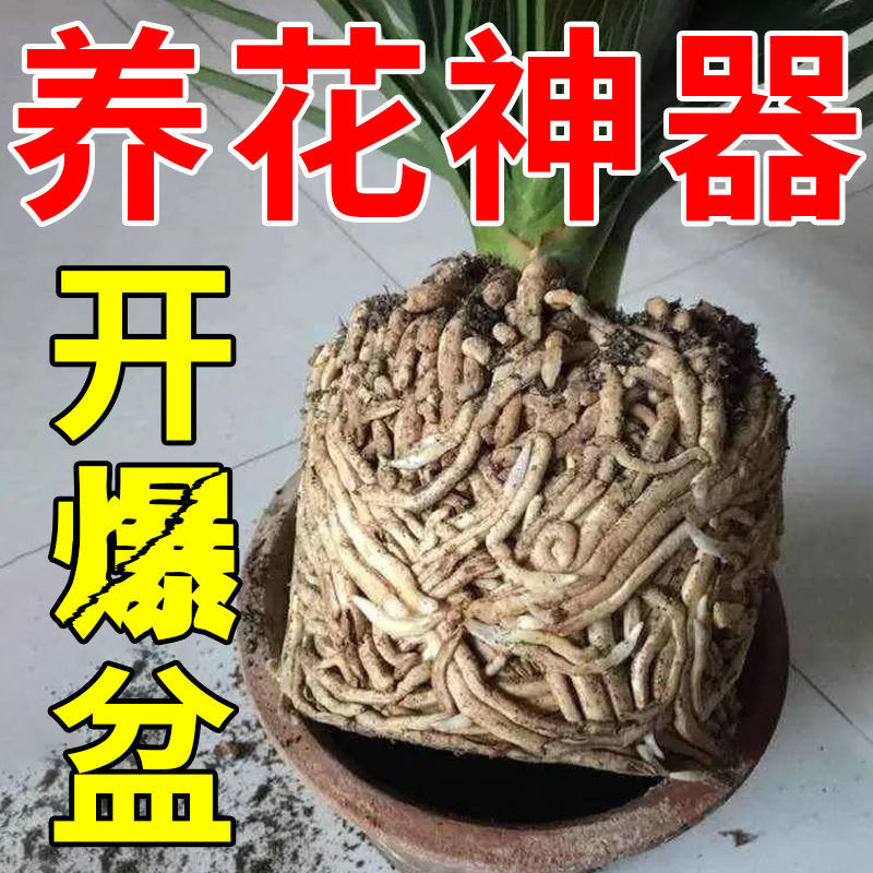 Soil Activator Black Water Fertilizer Universal Soil Loosening Essence for Flower Plants to Improve Soil Activation Treasure