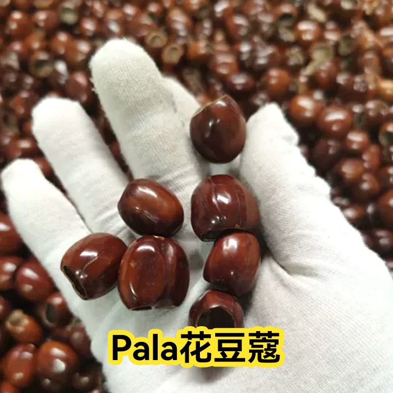 Indonesian Plant Fruit Shell Wind Chime Handmade DIY Material Package Bulk Homemade Hand Bell Has Been Punched