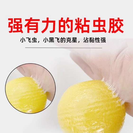 Fly trap ball fly trap household fly sticky ball kitchen bathroom fruit fly ball non-toxic harmless cross-border explosives