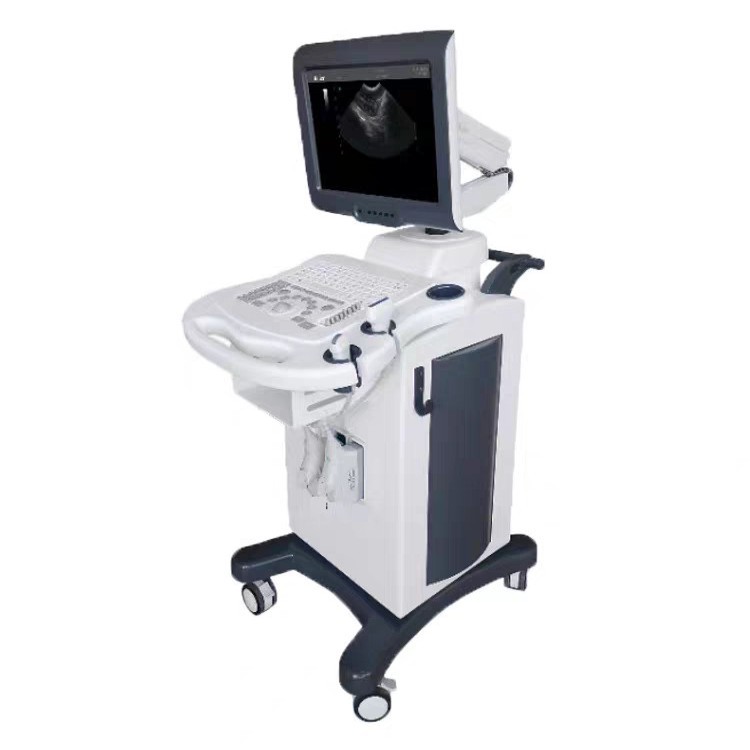 Medical Color Ultrasound Machine Price Medical B Ultrasound Machine Manufacturer Price Obstetrics and Gynecology B Ultrasound Machine Price 507