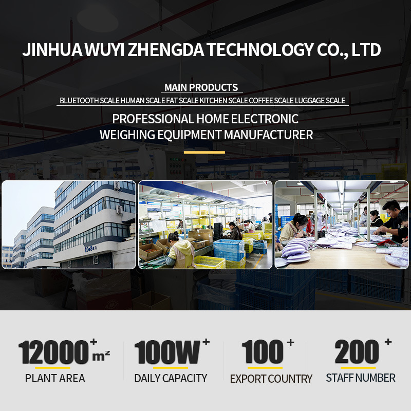 Cross-Border Wholesale Healthy Diet Scale Large Range Wear-Resistant Base Waterproof and Moisture-Proof Stainless Steel Electronic Scale One-Click Peeling